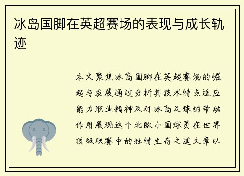 冰岛国脚在英超赛场的表现与成长轨迹